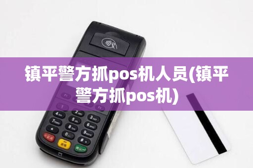镇平警方抓pos机人员(镇平警方抓pos机) 镇平警方抓pos机人员(镇平警方抓pos机)