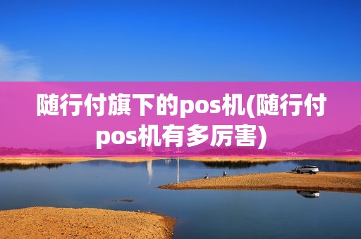 随行付旗下的pos机(随行付pos机有多厉害) 随行付旗下的pos机(随行付pos机有多厉害)