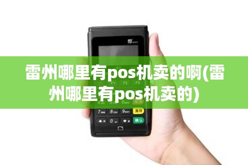 雷州哪里有pos机卖的啊(雷州哪里有pos机卖的) 雷州哪里有pos机卖的啊(雷州哪里有pos机卖的)
