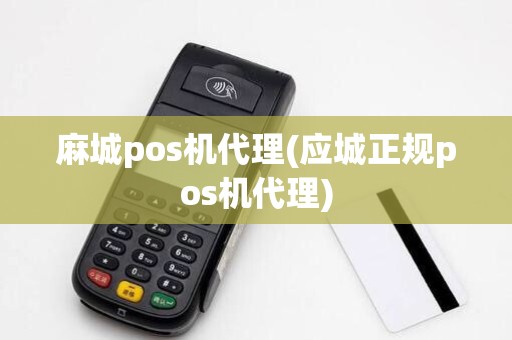 麻城pos机代理(应城正规pos机代理) 麻城pos机代理(应城正规pos机代理)