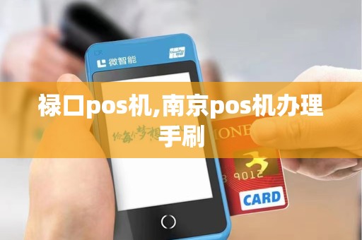 禄口pos机,南京pos机办理手刷 禄口pos机,南京pos机办理手刷