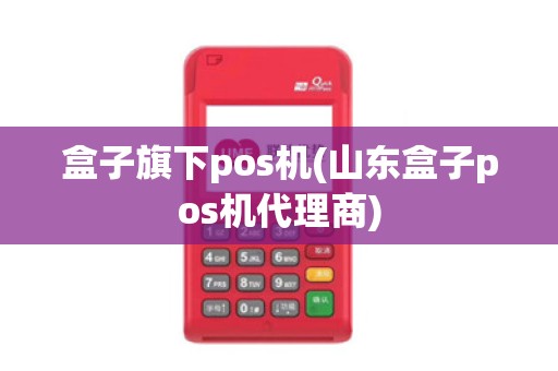 盒子旗下pos机(山东盒子pos机代理商)