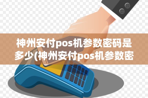 神州安付pos机参数密码是多少(神州安付pos机参数密码)