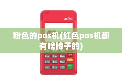 粉色的pos机(红色pos机都有啥牌子的) 粉色的pos机(红色pos机都有啥牌子的)