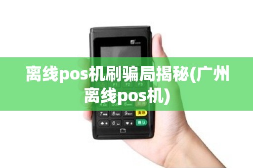 离线pos机刷骗局揭秘(广州离线pos机) 离线pos机刷骗局揭秘(广州离线pos机)
