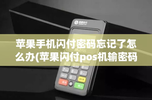 苹果手机闪付密码忘记了怎么办(苹果闪付pos机输密码) 苹果手机闪付密码忘记了怎么办(苹果闪付pos机输密码)