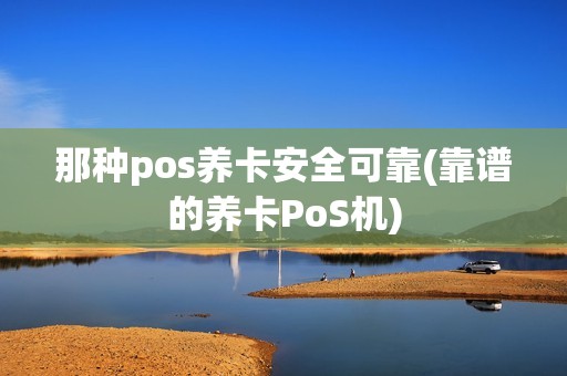 那种pos养卡安全可靠(靠谱的养卡PoS机) 那种pos养卡安全可靠(靠谱的养卡PoS机)