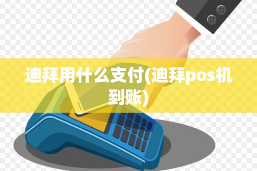 迪拜用什么支付(迪拜pos机到账)