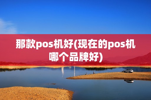 那款pos机好(现在的pos机哪个品牌好)