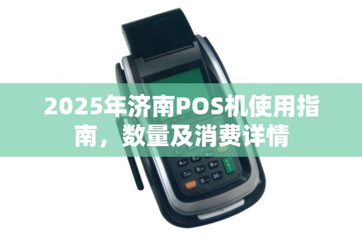2025年济南POS机使用指南，数量及消费详情