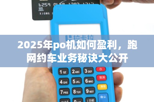 2025年po机如何盈利，跑网约车业务秘诀大公开