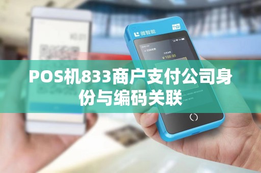 POS机833商户支付公司身份与编码关联