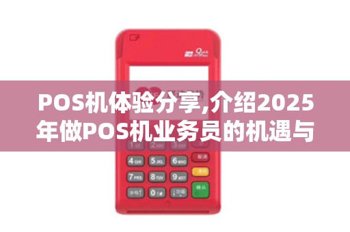 POS机体验分享,介绍2025年做POS机业务员的机遇与挑战