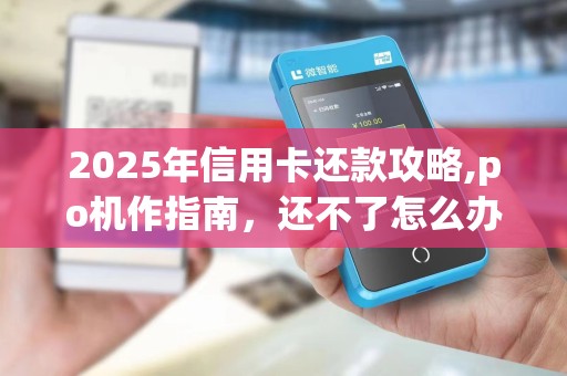 2025年信用卡还款攻略,po机作指南，还不了怎么办？
