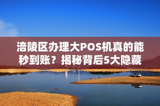 涪陵区办理大POS机真的能秒到账？揭秘背后5大隐藏风险！