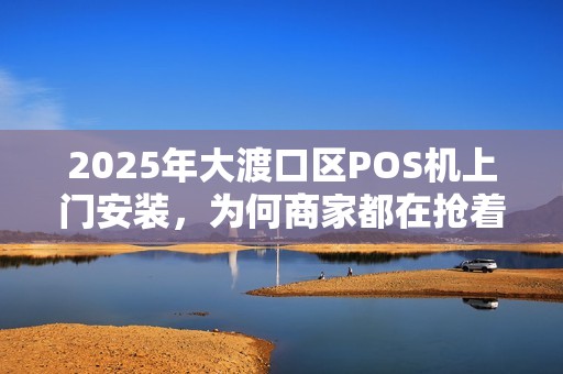 2025年大渡口区POS机上门安装，为何商家都在抢着办？真相让人意外！