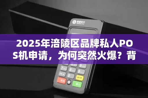 2025年涪陵区品牌私人POS机申请，为何突然火爆？背后隐藏哪些商机？