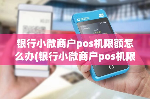 银行小微商户pos机限额怎么办(银行小微商户pos机限额)