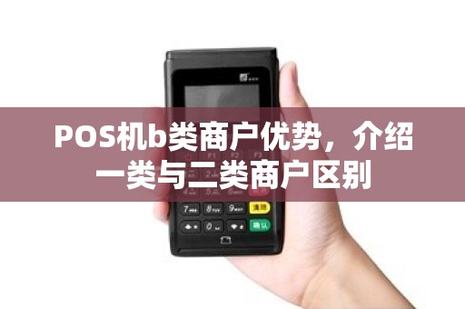 POS机b类商户优势,介绍一类与二类商户区别 POS机b类商户优势,介绍一类与二类商户区别