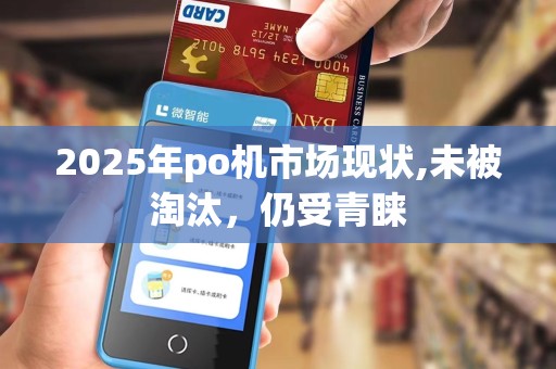2025年po机市场现状,未被淘汰,仍受青睐 2025年po机市场现状,未被淘汰,仍受青睐