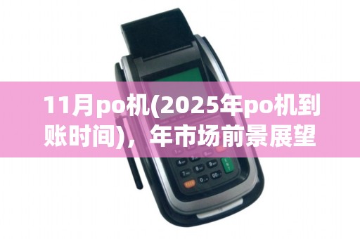 11月po机(2025年po机到账时间),年市场前景展望 11月po机(2025年po机到账时间),年市场前景展望