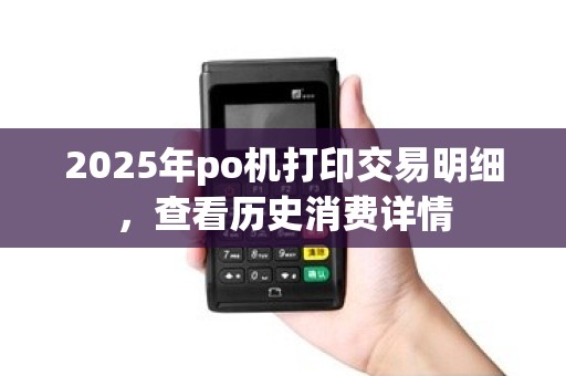 2025年po机打印交易明细,查看历史消费详情 2025年po机打印交易明细,查看历史消费详情