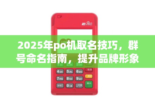 2025年po机取名技巧,群号命名指南,提升品牌形象 2025年po机取名技巧,群号命名指南,提升品牌形象
