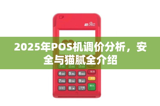 2025年POS机调价分析，安全与猫腻全介绍