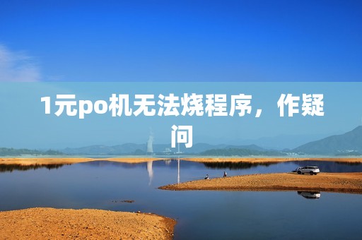 1元po机无法烧程序,作疑问 1元po机无法烧程序,作疑问