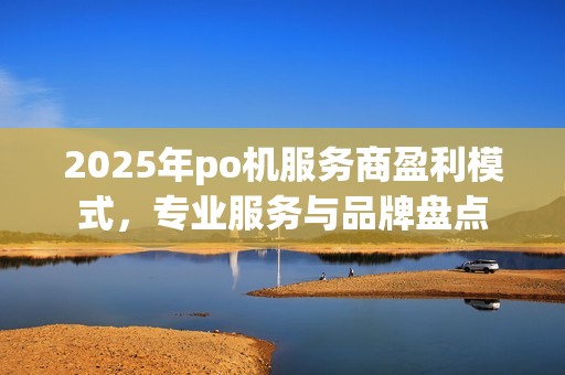 2025年po机服务商盈利模式，专业服务与品牌盘点