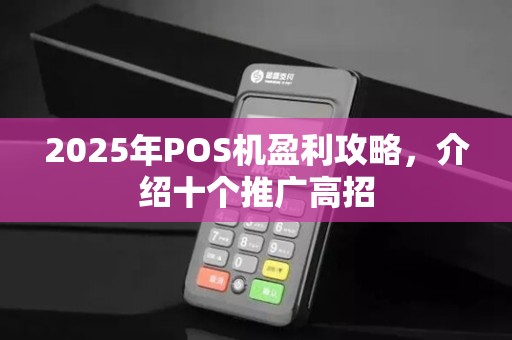 2025年POS机盈利攻略,介绍十个推广高招 2025年POS机盈利攻略,介绍十个推广高招