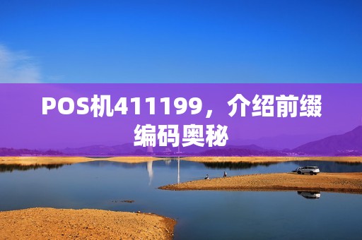 POS机411199,介绍前缀编码奥秘 POS机411199,介绍前缀编码奥秘