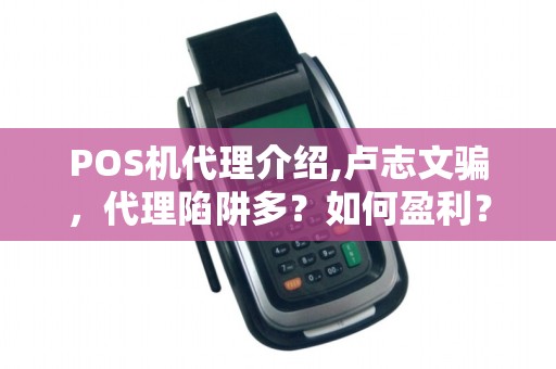 POS机代理介绍,卢志文骗,代理陷阱多?如何盈利? POS机代理介绍,卢志文骗,代理陷阱多?如何盈利?