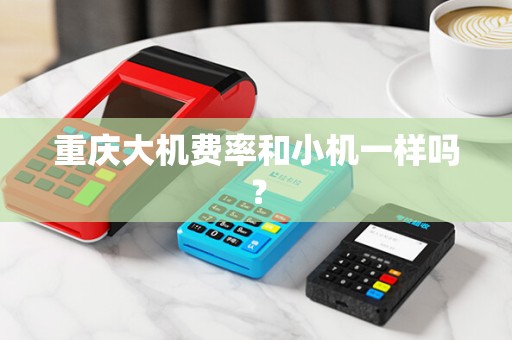 重庆大机费率和小机一样吗？