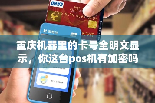 重庆机器里的卡号全明文显示，你这台pos机有加密吗？