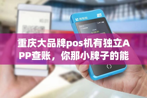 重庆大品牌pos机有独立APP查账，你那小牌子的能用吗？