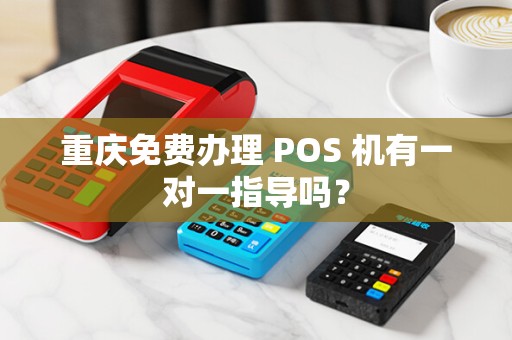 重庆免费办理 POS 机有一对一指导吗? 重庆免费办理 POS 机有一对一指导吗?