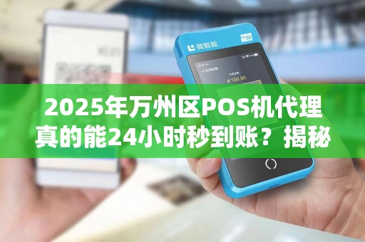 2025年万州区POS机代理真的能24小时秒到账？揭秘背后真相！