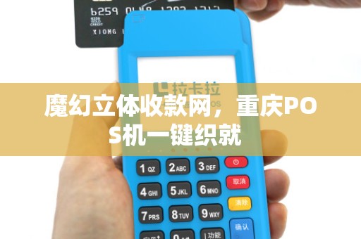 魔幻立体收款网，重庆POS机一键织就  