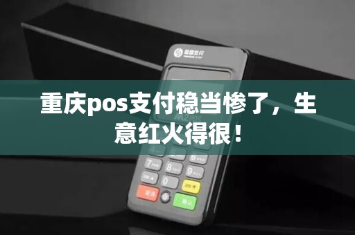 重庆pos支付稳当惨了，生意红火得很！