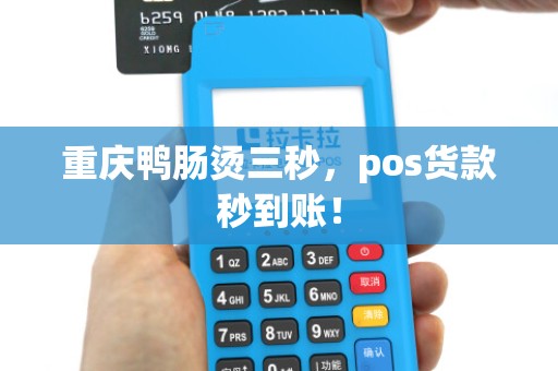 重庆鸭肠烫三秒,pos货款秒到账! 重庆鸭肠烫三秒,pos货款秒到账!