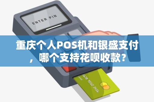 重庆个人POS机和银盛支付，哪个支持花呗收款？