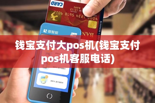 钱宝支付大pos机(钱宝支付pos机客服电话)
