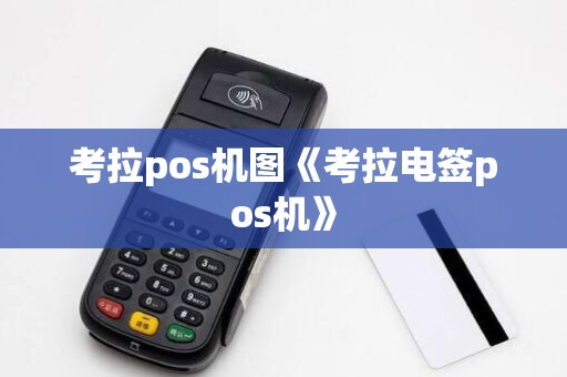 考拉pos机图《考拉电签pos机》 考拉pos机图《考拉电签pos机》
