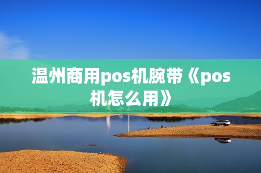 温州商用pos机腕带《pos机怎么用》