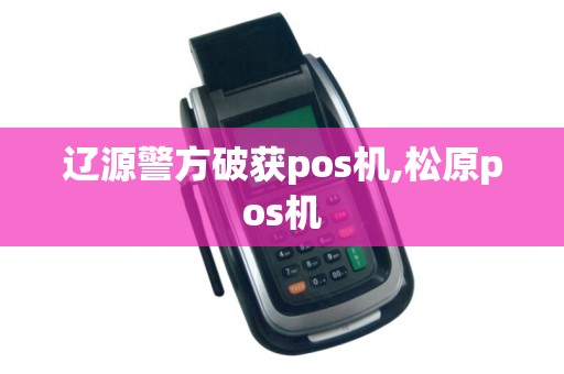 辽源警方破获pos机,松原pos机 辽源警方破获pos机,松原pos机