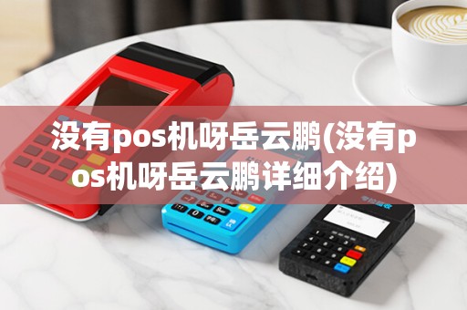 没有pos机呀岳云鹏(没有pos机呀岳云鹏详细介绍) 没有pos机呀岳云鹏(没有pos机呀岳云鹏详细介绍)