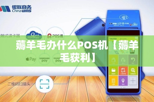 薅羊毛办什么POS机【薅羊毛获利】 薅羊毛办什么POS机【薅羊毛获利】
