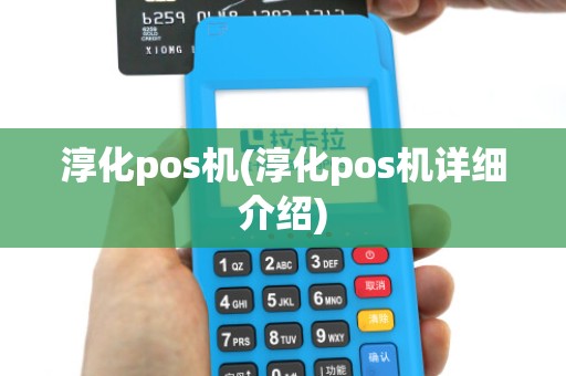 淳化pos机(淳化pos机详细介绍)