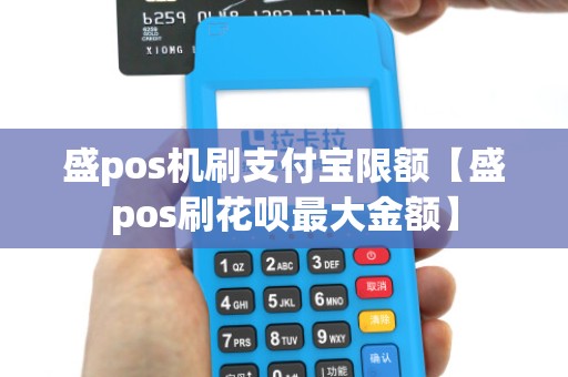 盛pos机刷支付宝限额【盛pos刷花呗最大金额】